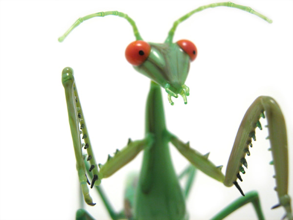 \"Femme Fatale\", praying mantis, glass bug by Wesley Fleming