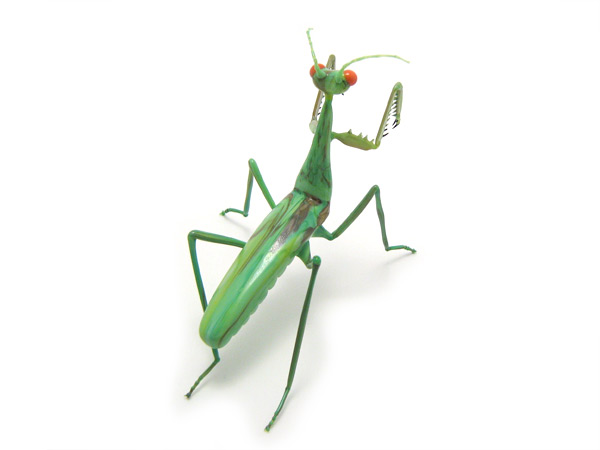\"Femme Fatale\", praying mantis, glass insect by Wesley Fleming