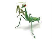 mantis-gs