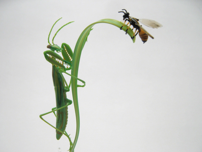 Mantis Stalking a Wasp, glass wasp by Wesley Fleming