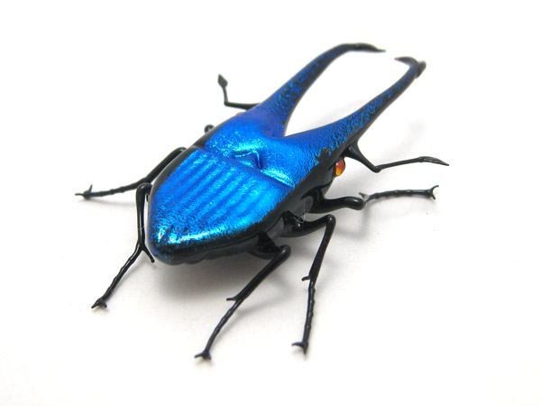 Mini Blue Stag Beetle, glass bug by Wesley Fleming