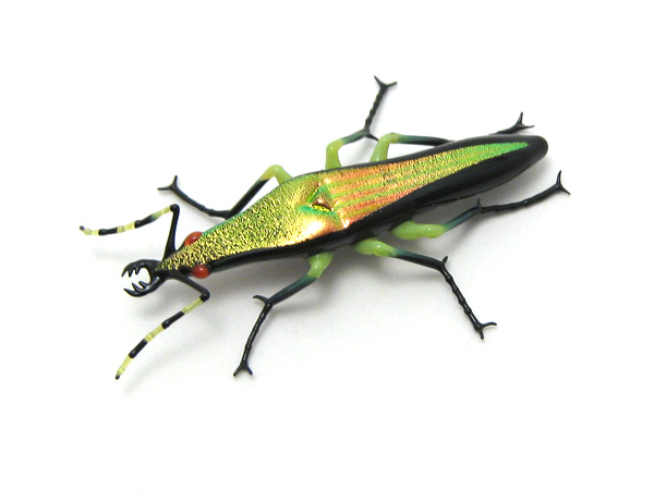 Mini Tiger Beetle, glass bug by Wesley Fleming