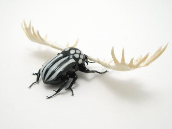 Moose Beetle, glass insect by Wesley Fleming
