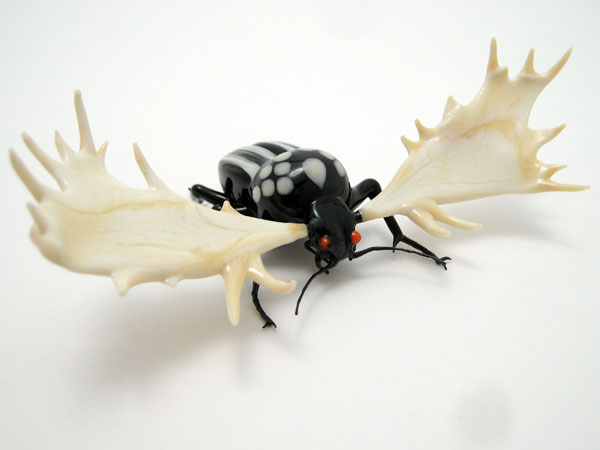 Moose Beetle, glass insect by Wesley Fleming