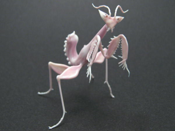 Orchid Mantis, glass mantis by Wesley Fleming