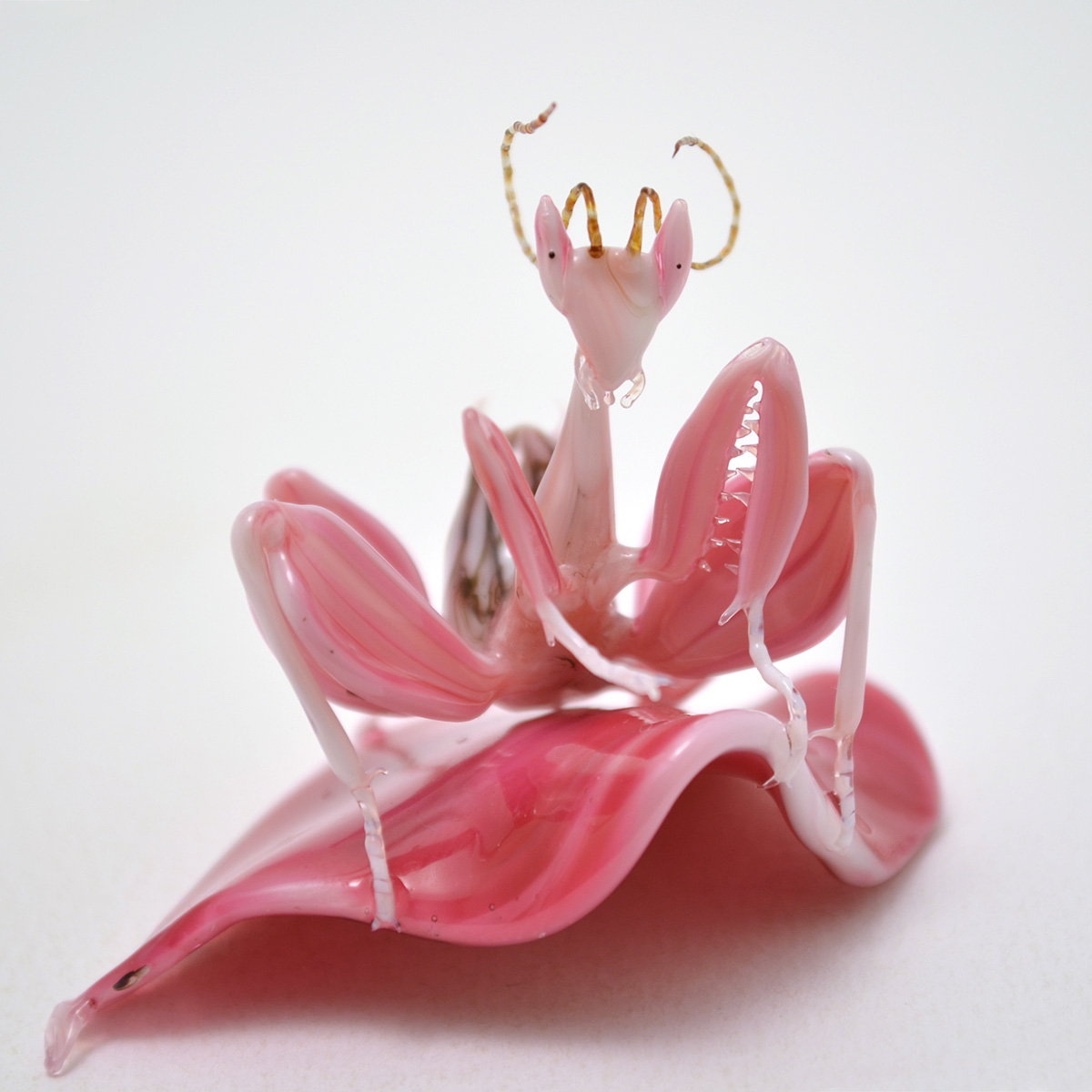 Orchid Mantis on Petal, glass mantis by Wesley Fleming