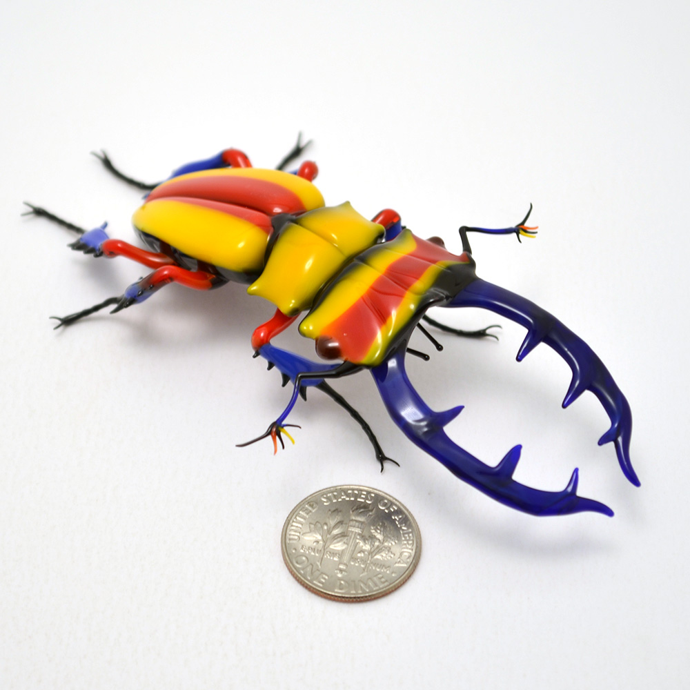 Primary Stag Beetle, glass beetle by Wesley Fleming