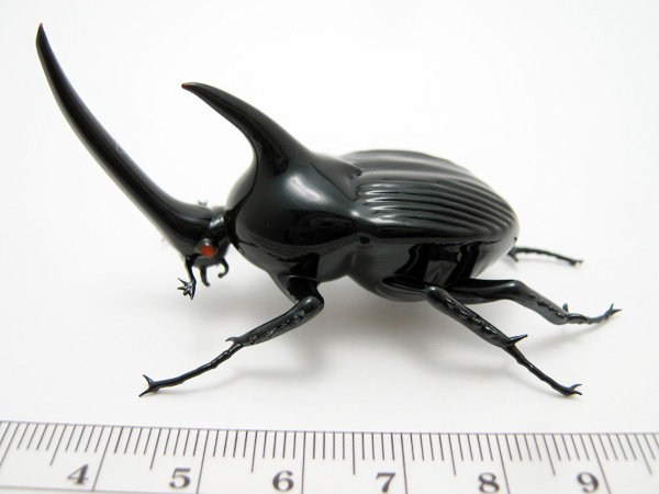 Black Rhinoceros Beetle, glass bug by Wesley Fleming