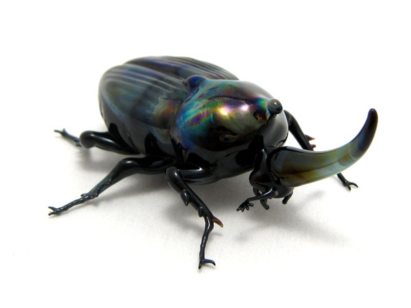 Jewel Rhinoceros Beetle, glass insect by Wesley Fleming