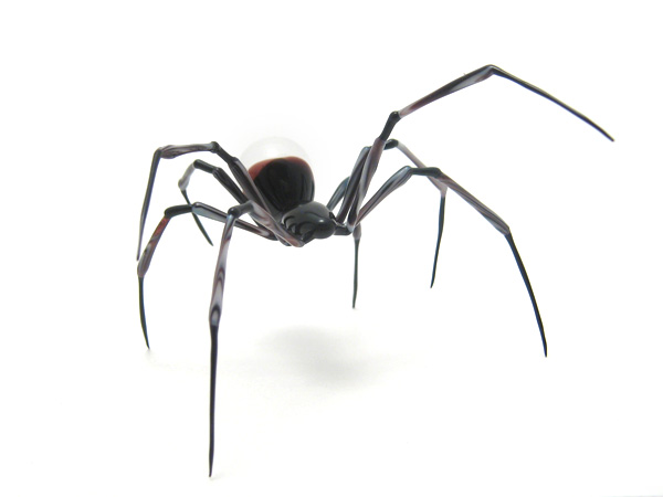 Zebra Skulback Spider, glass bug by Wesley Fleming
