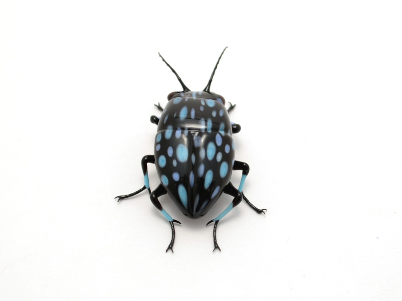 Blue Spotted Leaf Chafer Beetle, glass insect by Wesley Fleming
