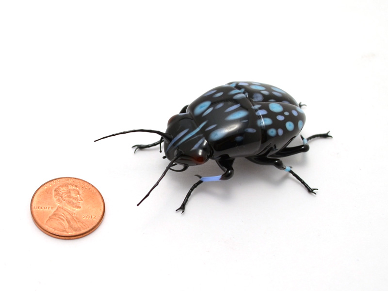 Blue Spotted Leaf Chafer Beetle, glass beetle by Wesley Fleming
