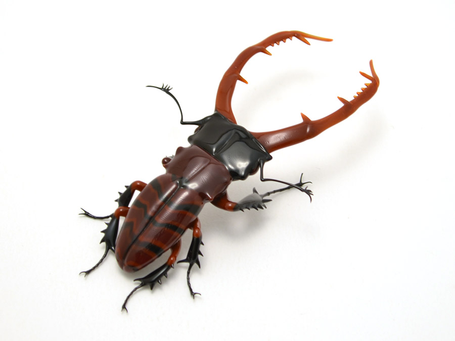 Striped Stag Beetle, glass insect by Wesley Fleming