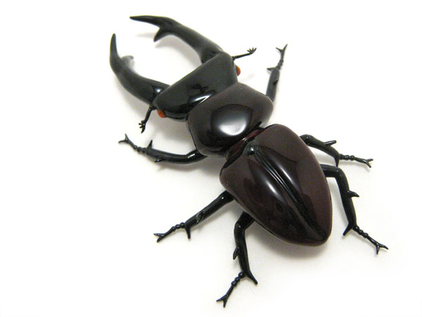 Stag Beetle, glass insect by Wesley Fleming