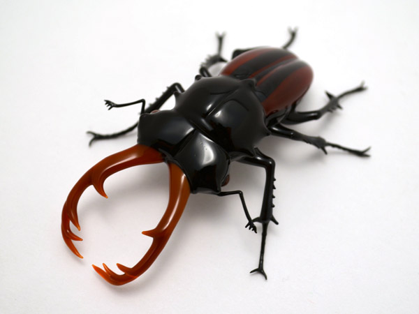 Striped Stag Beetle, glass stag beetle by Wesley Fleming