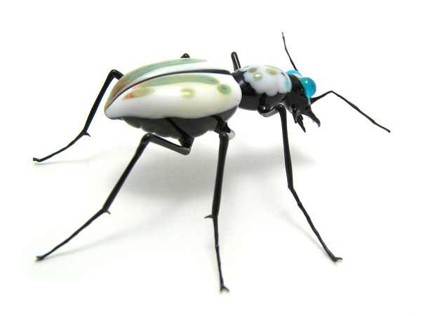 Tiger Beetle, glass bug by Wesley Fleming