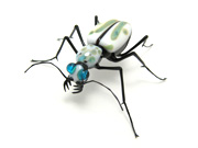 tiger-beetle