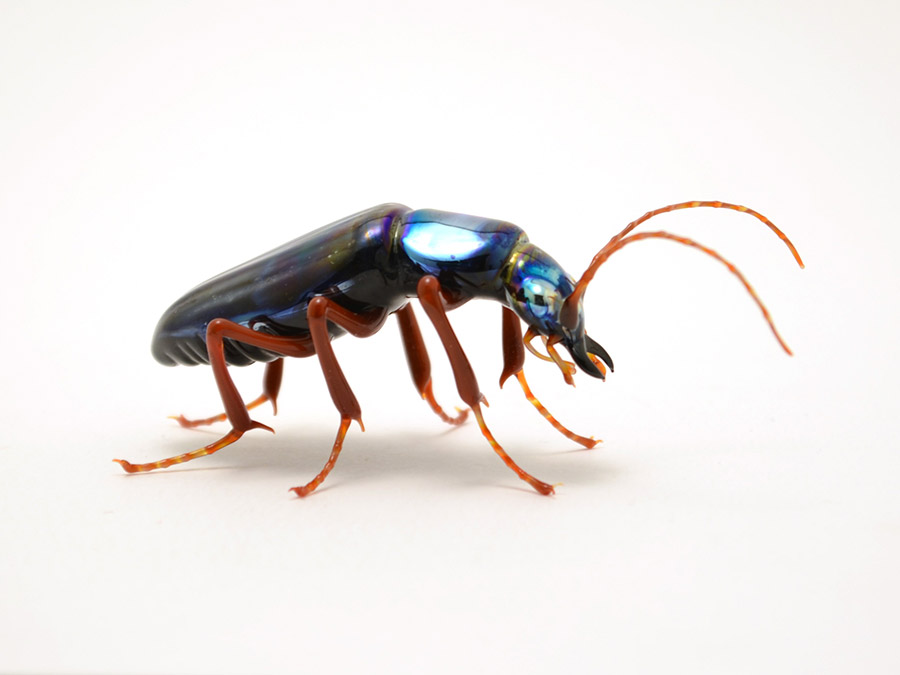 Iridescent Tiger Beetle, glass bug by Wesley Fleming