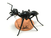 tiny-ant