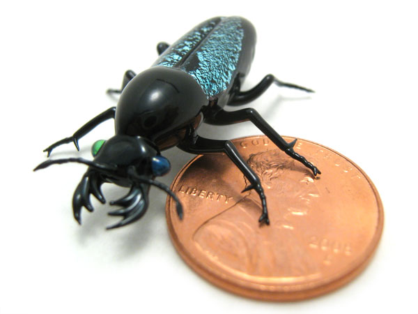 Tiny stag Beetle, glass insect by Wesley Fleming