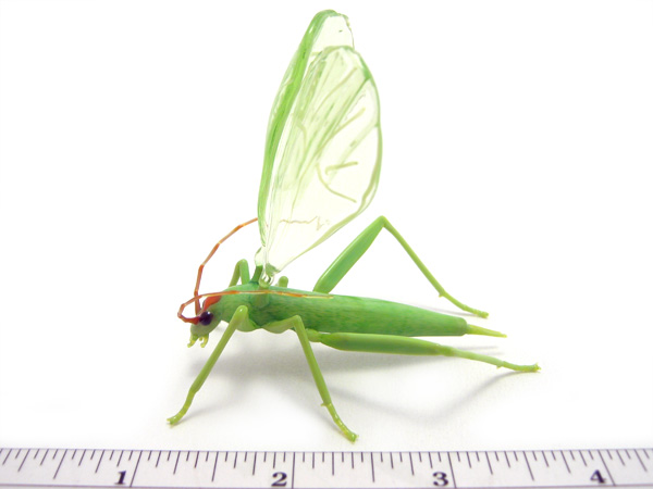 Montana Tree Cricket, glass bug by Wesley Fleming