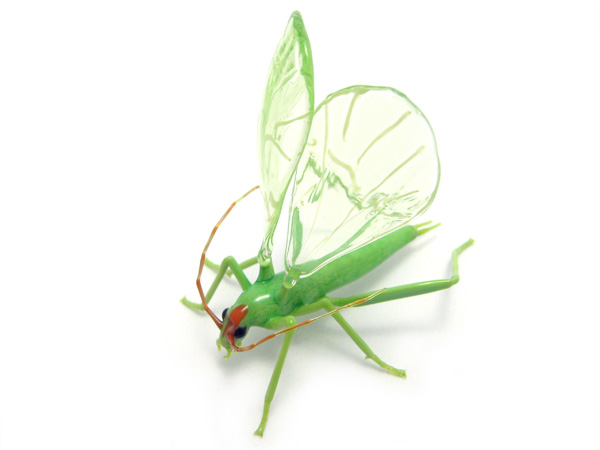 Montana Tree Cricket, glass bug by Wesley Fleming
