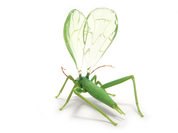 Montana Tree Cricket, glass beetle by Wesley Fleming