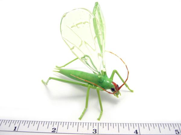 Montana Tree Cricket, glass insect by Wesley Fleming