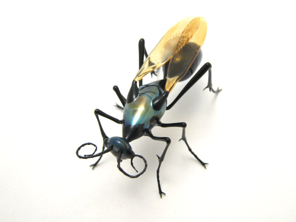 Tarantula Hawk, glass wasp by Wesley Fleming