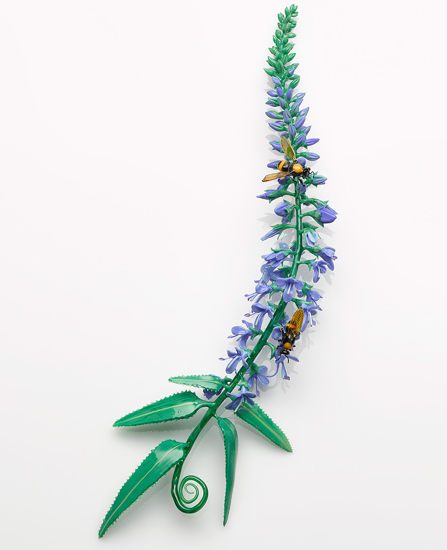 Veronica longifolia, glass dragonfly by Wesley Fleming