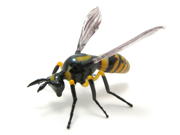 Wasp, glass insect by Wesley Fleming