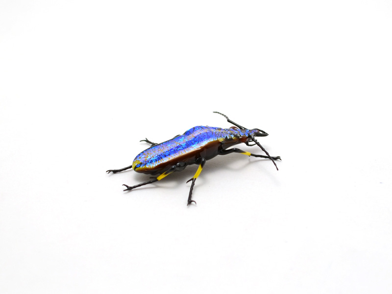 Yellow Striped Jewel Tiger Beetle, glass insect by Wesley Fleming