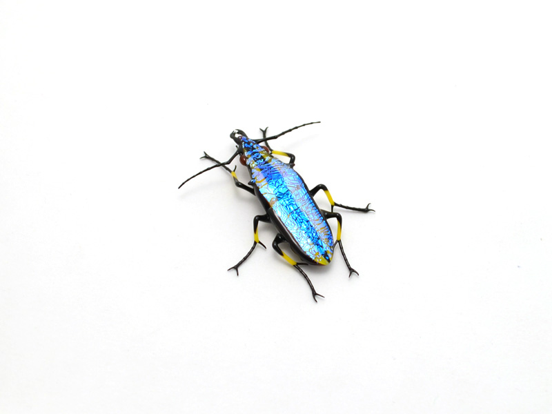 Yellow Striped Jewel Tiger Beetle, glass beetle by Wesley Fleming