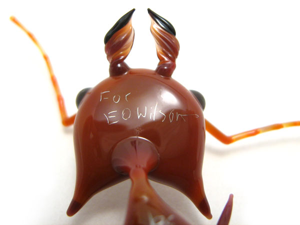 leafcutter ant made as gift for E.O. Wilson, presented April 10, 2009, glass insect by Wesley Fleming