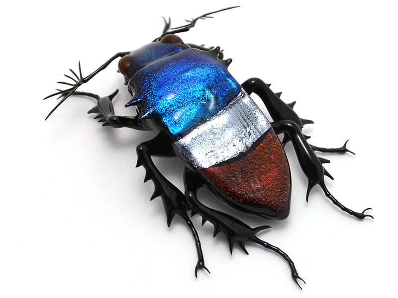 ITEM_NAME, glass beetle by Wesley Fleming