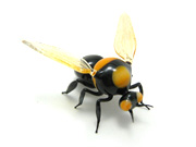 bumblebee-w-pin