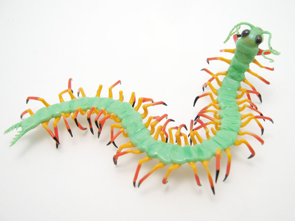 Citrus Stalker Centipede, glass insect by Wesley Fleming