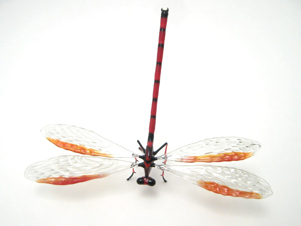 Red Dragonfly, glass odonata by Wesley Fleming