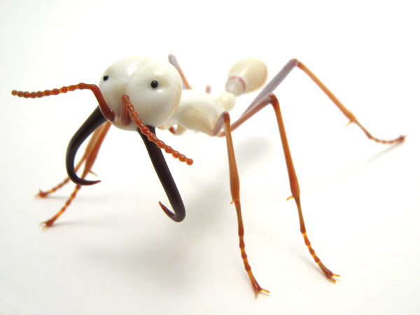 Eciton Soldier Army Ant, glass wasp by Wesley Fleming