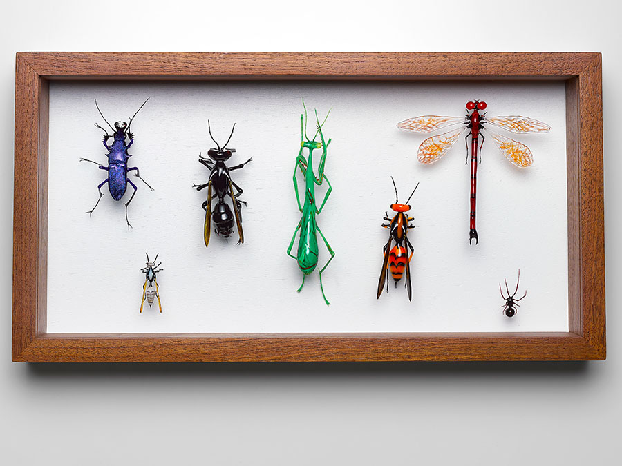 The Usual Suspects, glass dragonfly by Wesley Fleming