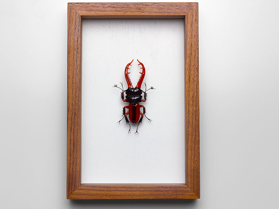 Stag Beetle, glass dragonfly by Wesley Fleming
