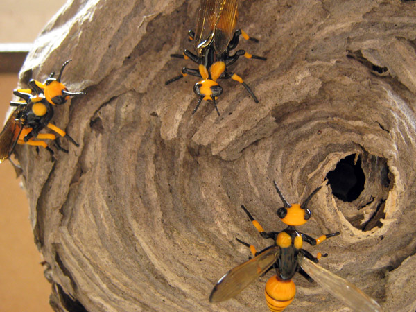 Hornet Nest, glass hornet by Wesley Fleming