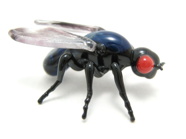 Housefly, glass insect by Wesley Fleming