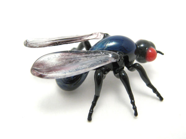 Housefly, glass beetle by Wesley Fleming