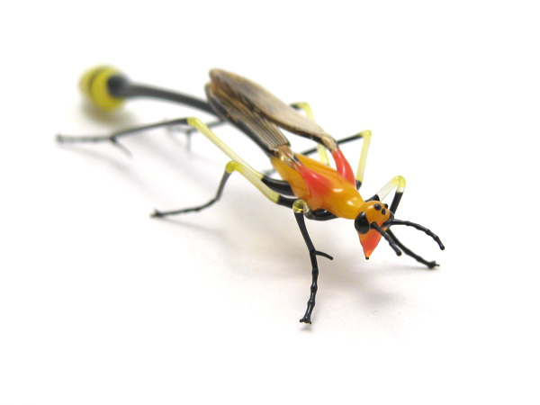 Ichneumon Wasp, glass ichneumon wasp by Wesley Fleming