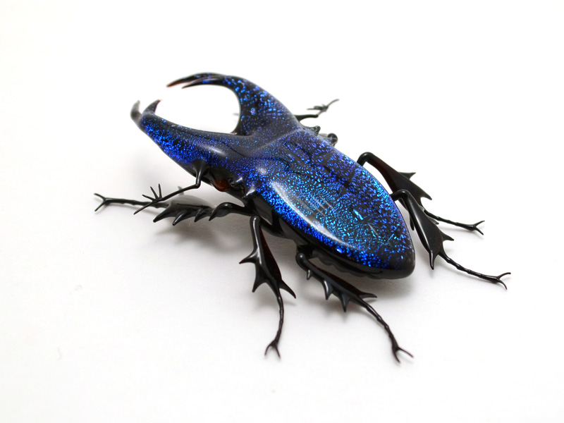Cobalt Stag Jewel Beetle, glass insect by Wesley Fleming