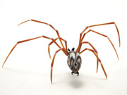 zulu-spider